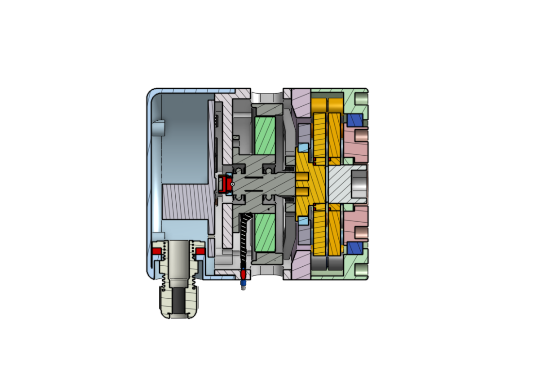 section